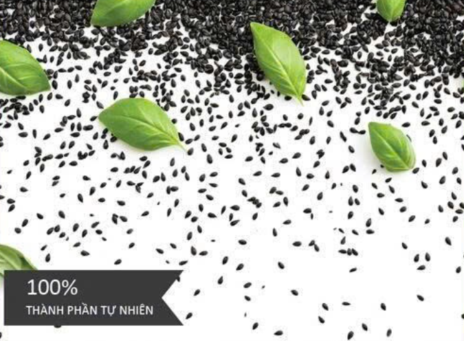 Xoài Cát Hòa Lộc